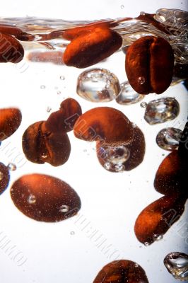 Coffee beans in water