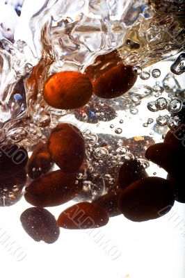 Coffee beans in water