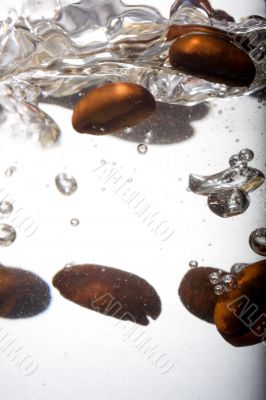 Coffee beans in water