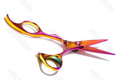 Professional Haircutting Scissors