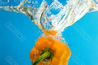 YELLOW PEPPER SPLASHING IN WATER 