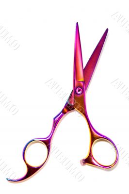 Professional Haircutting Scissors