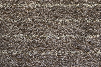 Carpet poil.