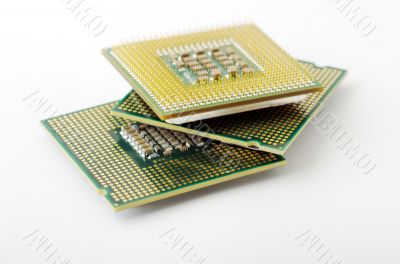 Microprocessors isolated on white background 