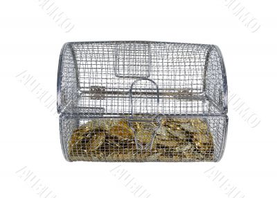 Golc Coins in Spinner Cage