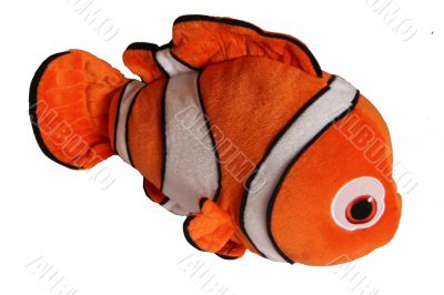 clown fish