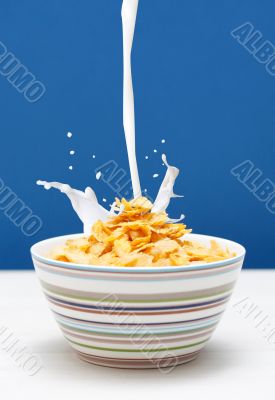 Cornflakes Cornflakes