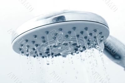 Shower Shower