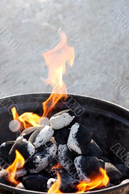 Barbecue Barbecue
