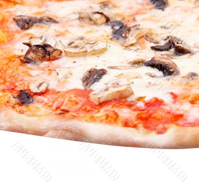 Pizza Pizza