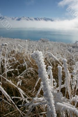 Winter in New Zealand