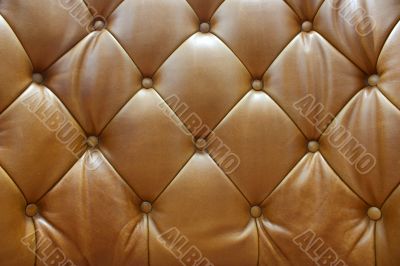 Sepia of genuine leather upholstery