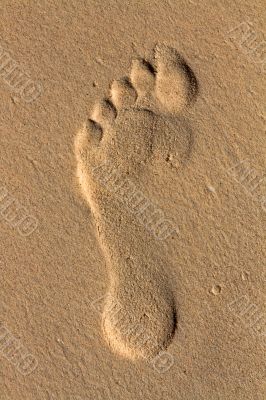 footprint in the sand