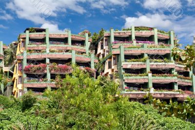 A cozy hotel in the jungle
