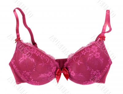 Purple bra in studio