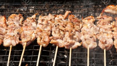 raw kebabs on the grate for grilling