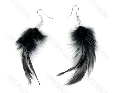 A pair of women`s earrings their feathers