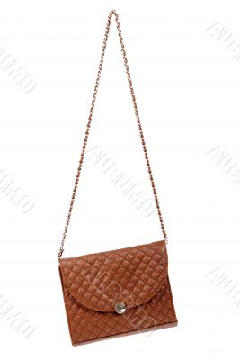 The brown woman`s handbag