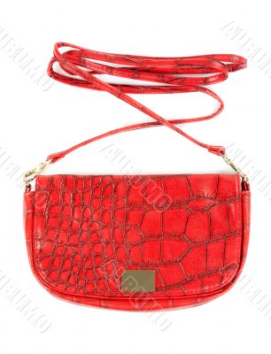 Red Women`s fashionable small handbag