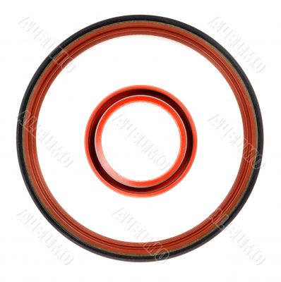 Two circular seal engine, top view