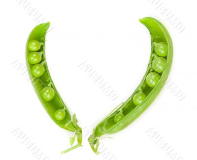 Fresh green pea pod isolated on white background