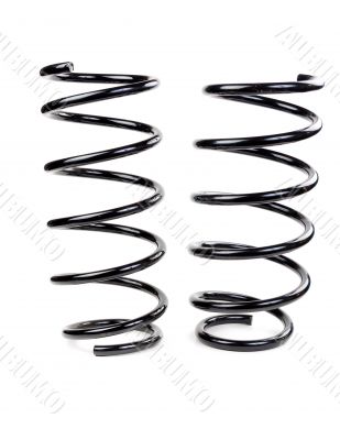 Pair of car spring