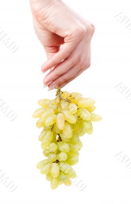 bunch of a green grapes in hand of the woman