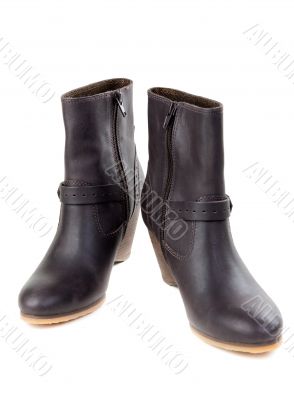A pair of female shoes A pair of female shoes