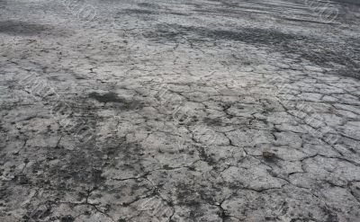 dry land with cracks dry land with cracks