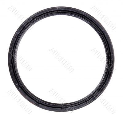 Crankshaft rear oil seal