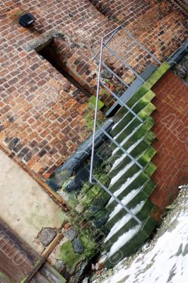 Mossy stair