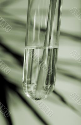 Test tube vase Test tube vase