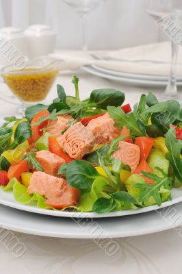 Vegetable salad with salmon