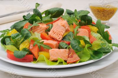 Vegetable salad with salmon