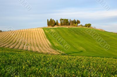 Chiantishire Chiantishire