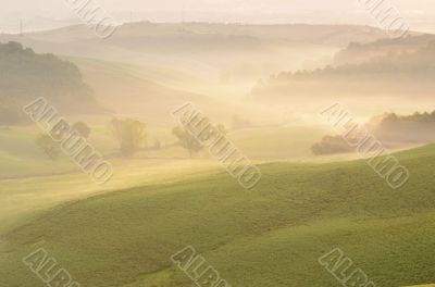 Misty morning Misty morning