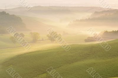 Misty morning