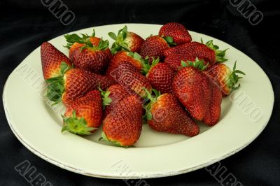 Strawberry Strawberry