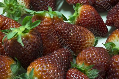 Fresh strawberry
