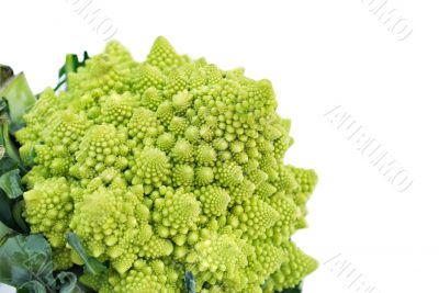 Romanesco broccoli or Roman cauliflower