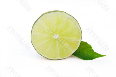 Lime Portion On White