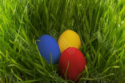 Easter eggs in the grass.