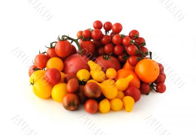 Group of different tomato varieties and colors on a white backgr