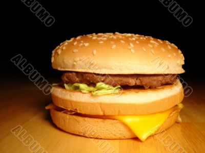 Fast Food Hamburger