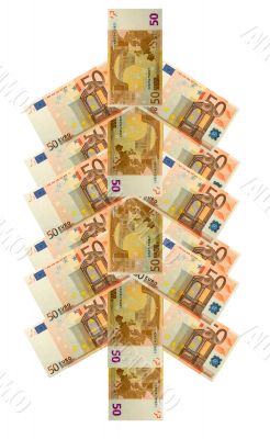 money tree concept from fifty euro banknote