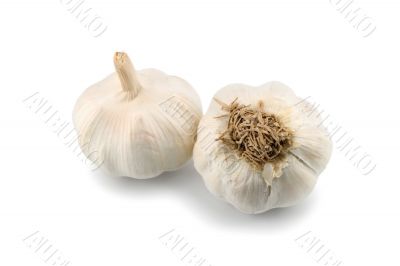 garlic garlic