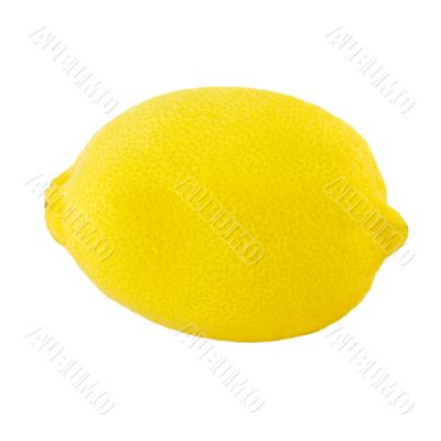 Lemon on white background Lemon on white background