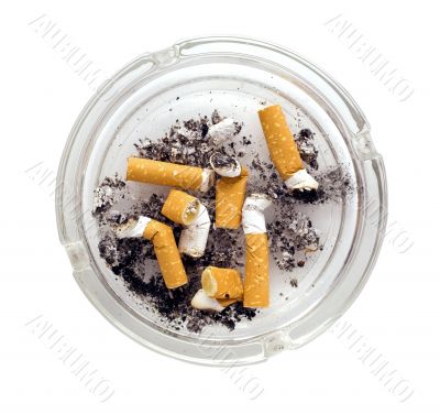 ashtray ashtray