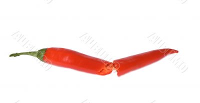 Red hot chili peppers on white background. Red hot chili peppers on white background.