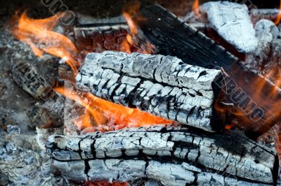 flames of a campfire flames of a campfire